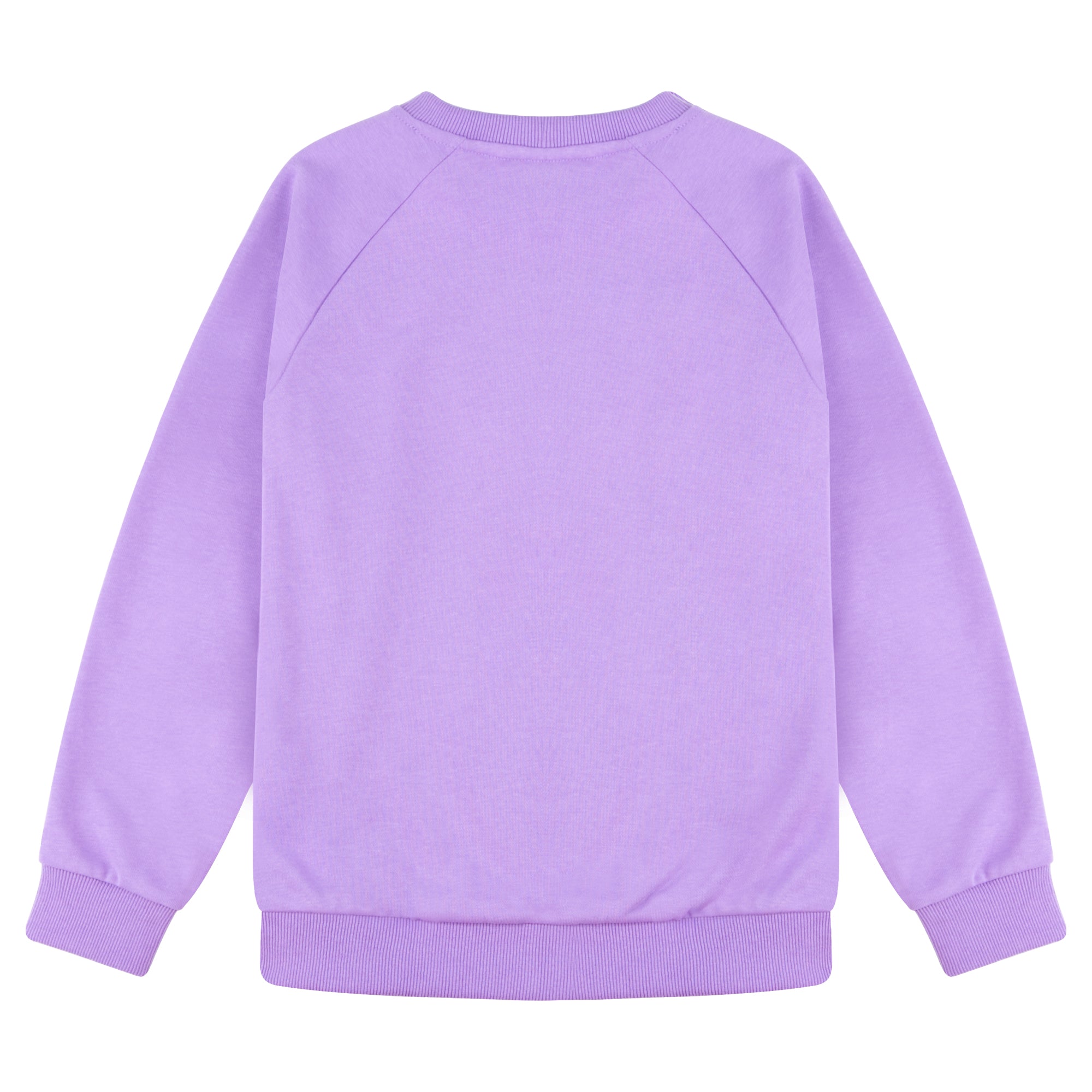 BIG ELEPHANT Boys’ and Girls’ Cotton Crewneck Sweatshirt – Soft Long Sleeve Top for Kids, Toddler–Teen, Ideal for School & Casual
