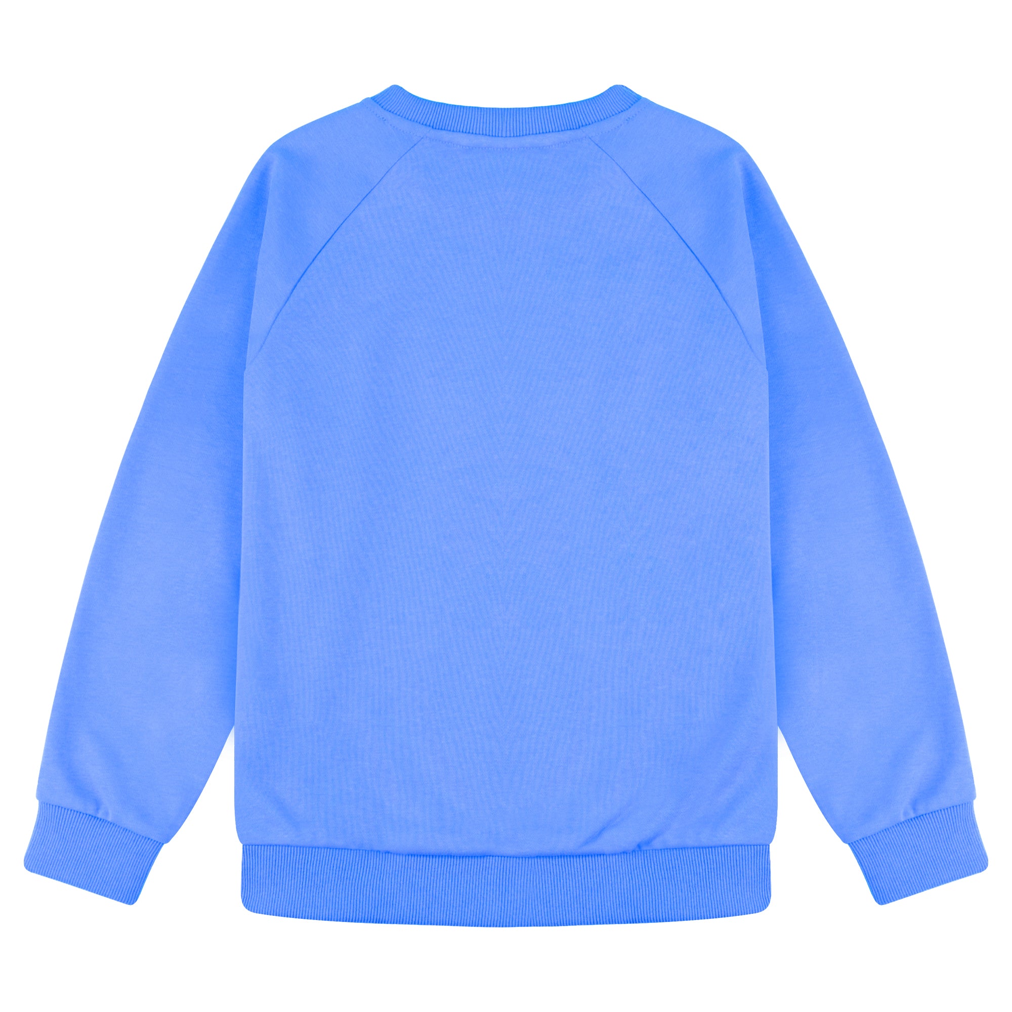 BIG ELEPHANT Boys’ and Girls’ Cotton Crewneck Sweatshirt – Soft Long Sleeve Top for Kids, Toddler–Teen, Ideal for School & Casual