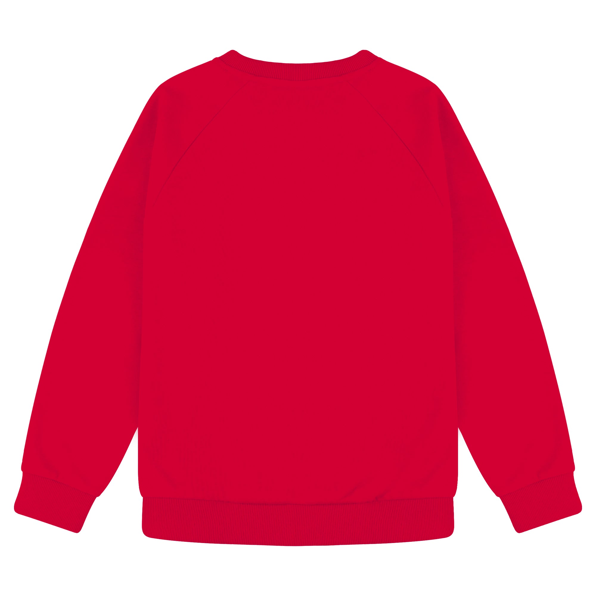 BIG ELEPHANT Boys’ and Girls’ Cotton Crewneck Sweatshirt – Soft Long Sleeve Top for Kids, Toddler–Teen, Ideal for School & Casual