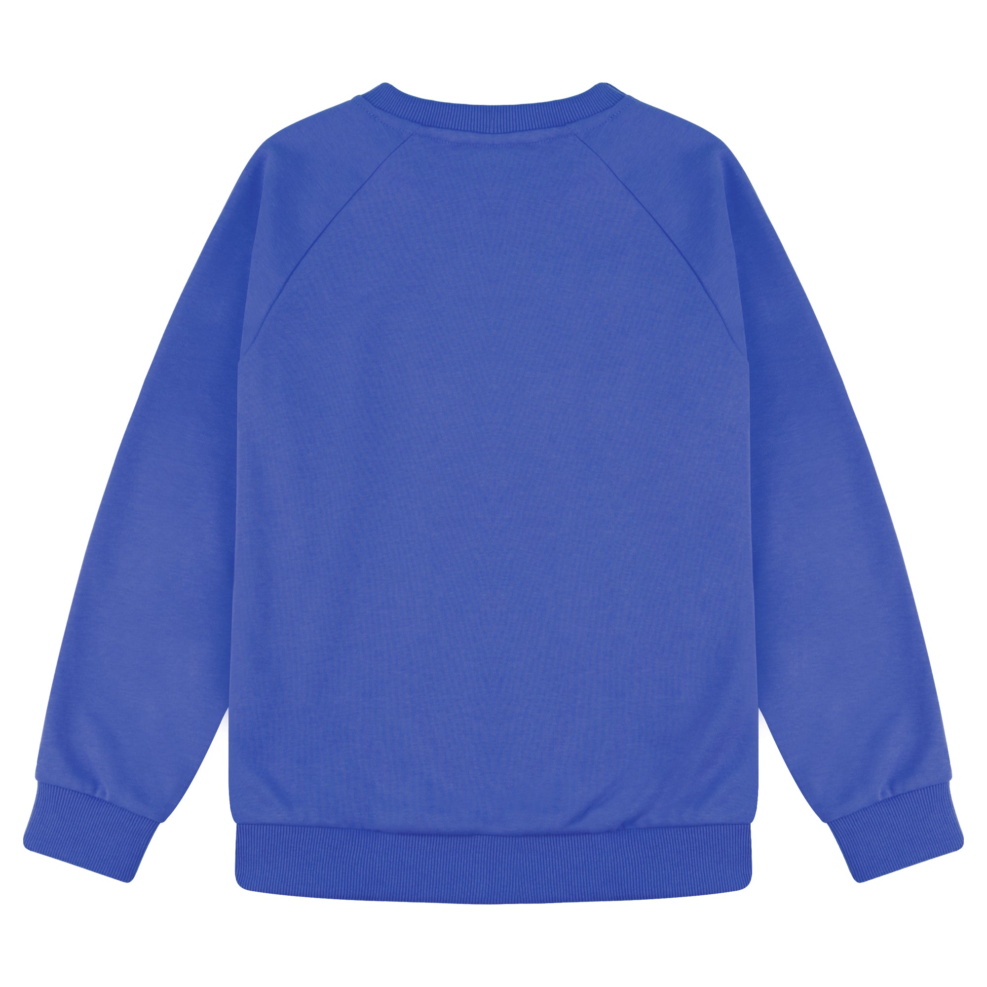 BIG ELEPHANT Boys’ and Girls’ Cotton Crewneck Sweatshirt – Soft Long Sleeve Top for Kids, Toddler–Teen, Ideal for School & Casual