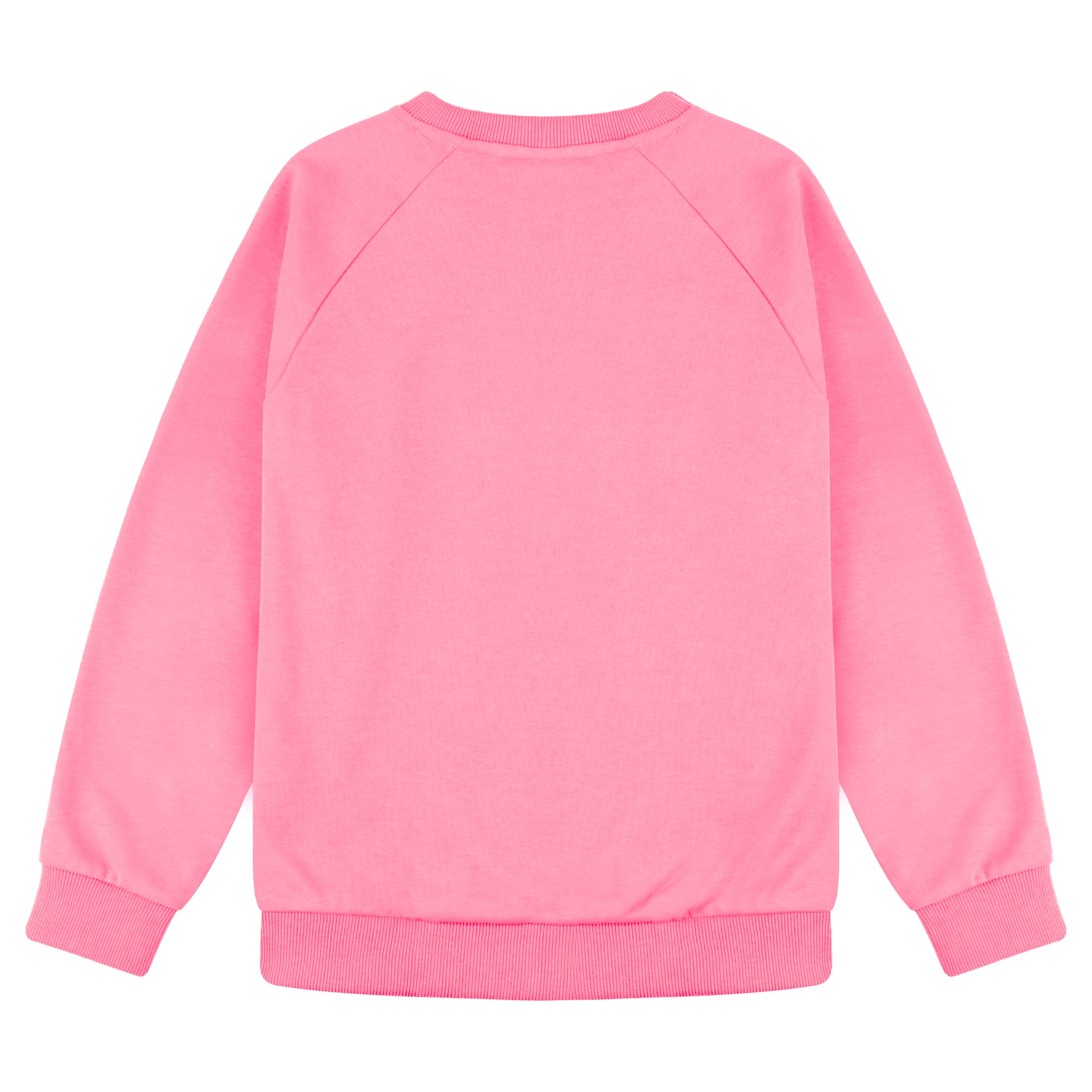 BIG ELEPHANT Boys’ and Girls’ Cotton Crewneck Sweatshirt – Soft Long Sleeve Top for Kids, Toddler–Teen, Ideal for School & Casual