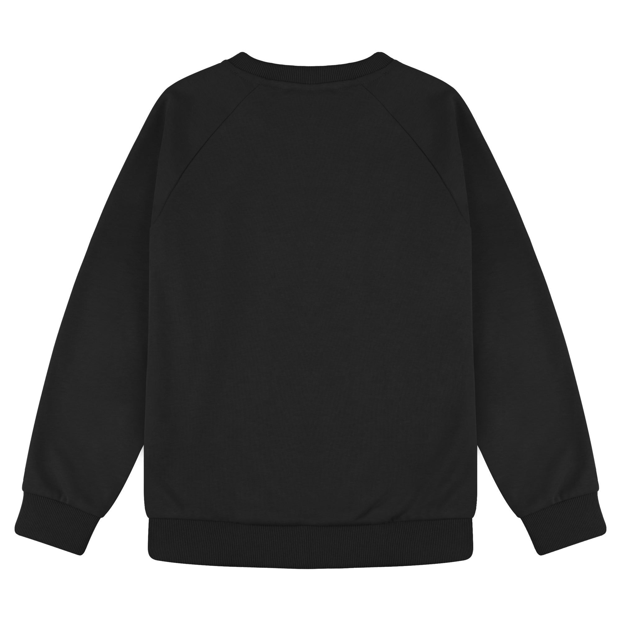 BIG ELEPHANT Boys’ and Girls’ Cotton Crewneck Sweatshirt – Soft Long Sleeve Top for Kids, Toddler–Teen, Ideal for School & Casual