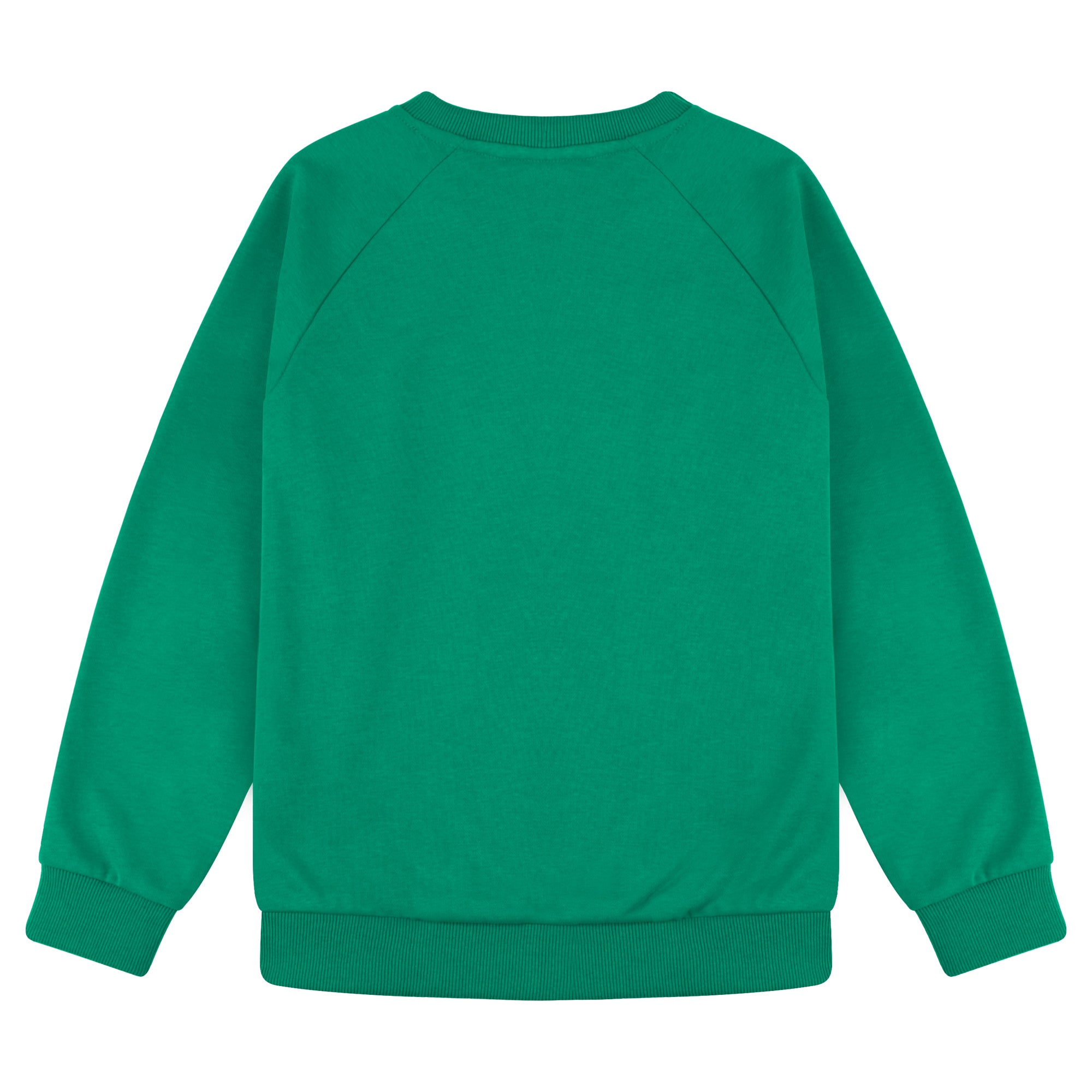 BIG ELEPHANT Boys’ and Girls’ Cotton Crewneck Sweatshirt – Soft Long Sleeve Top for Kids, Toddler–Teen, Ideal for School & Casual