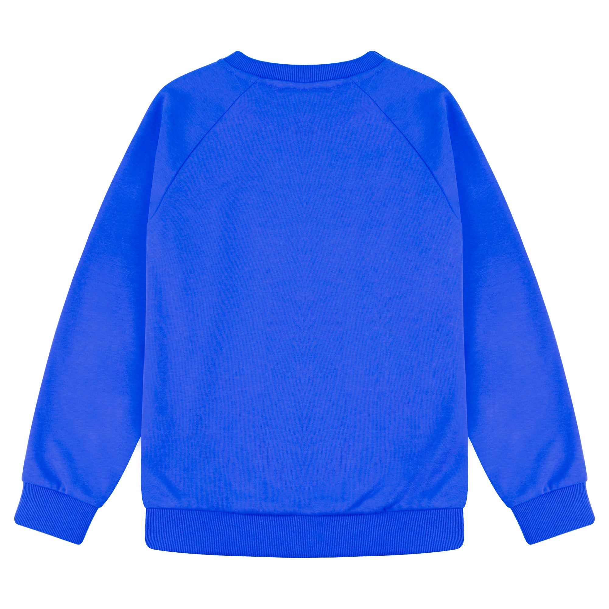 BIG ELEPHANT Boys’ and Girls’ Cotton Crewneck Sweatshirt – Soft Long Sleeve Top for Kids, Toddler–Teen, Ideal for School & Casual